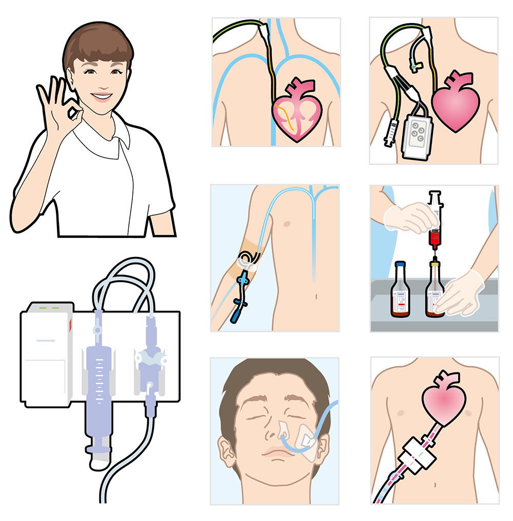 看護師や臓器、男性、人体のイラスト