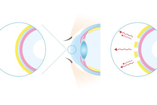 目の構造を説明するイラスト