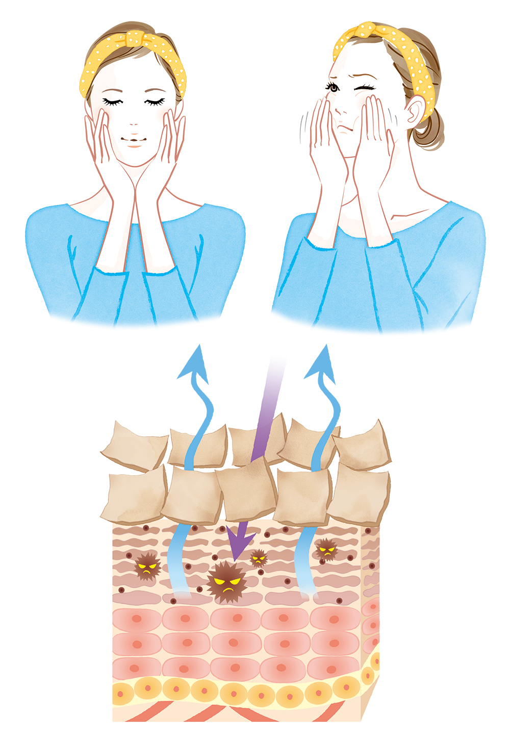 スキンケアと角質層を説明する肌の断面図のイラスト