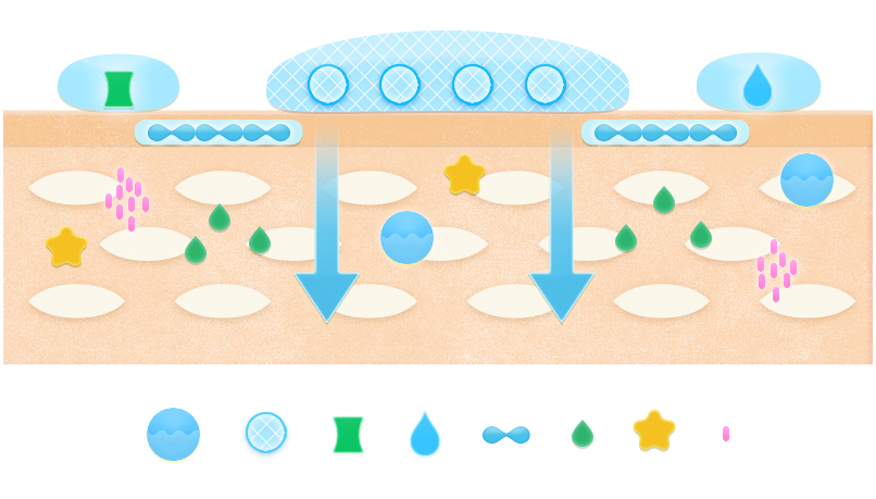 肌に浸透する構造を説明する肌の断面図のイラスト