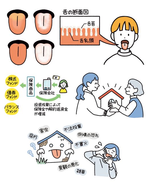 舌の断面図、保険商品の説明、住宅のリスク要因のイラスト