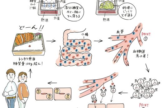 糖質の消化と血糖値の上昇プロセスの図解