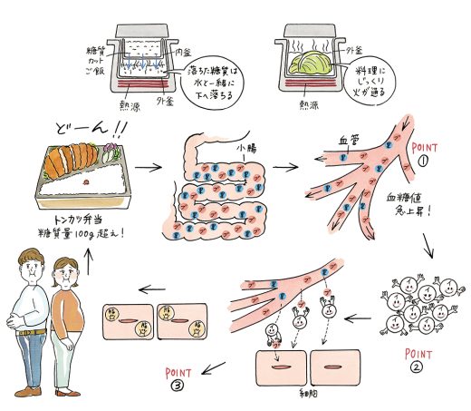 糖質の消化と血糖値の上昇プロセスの図解