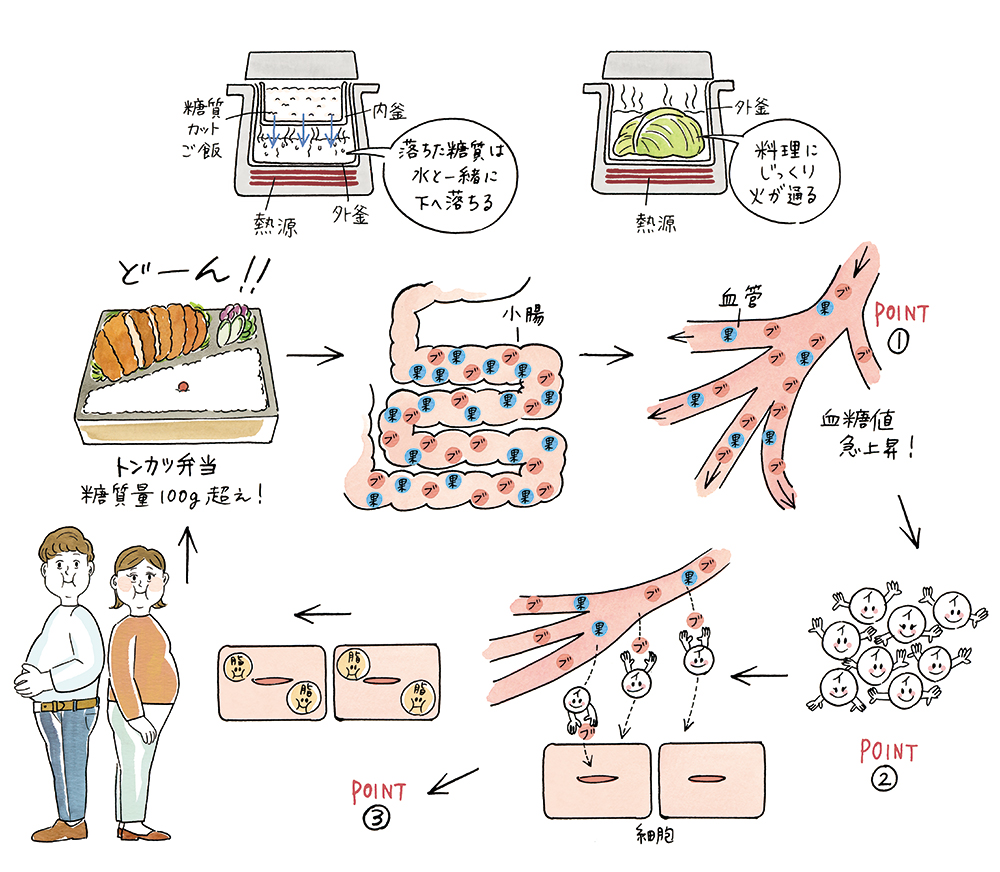 糖質制限や糖質の働きを説明するイラスト