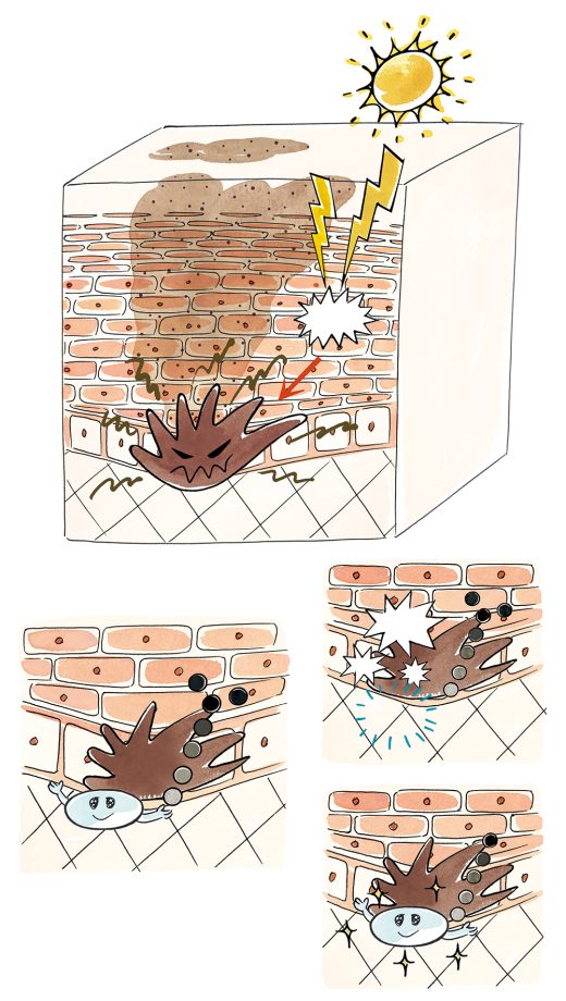 肌の劣化と修復過程のイラスト