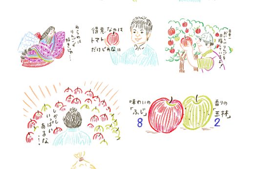 ふじと王林のりんごと収穫・搾汁の物語イラスト
