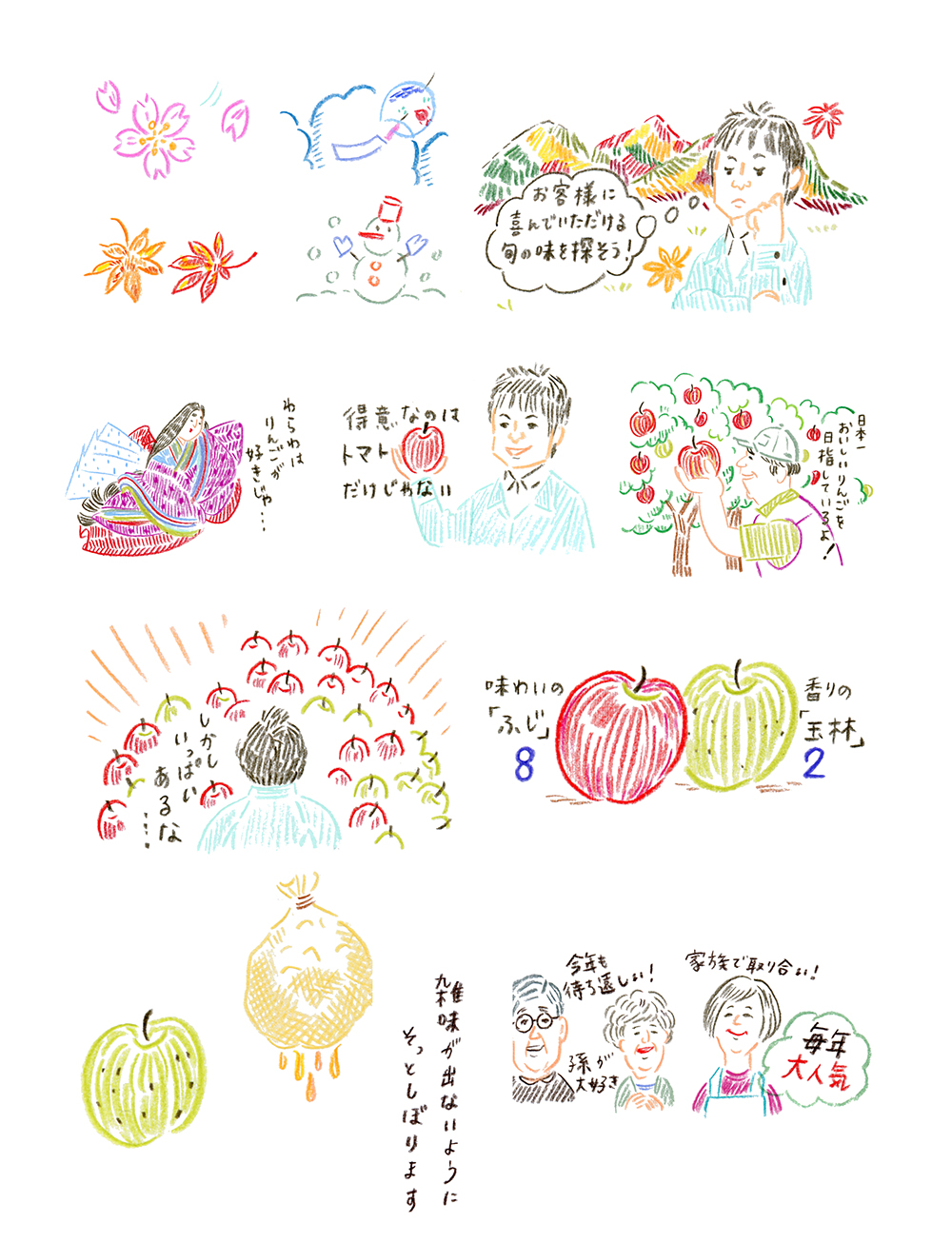 ふじと王林のりんごと収穫・搾汁の物語イラスト