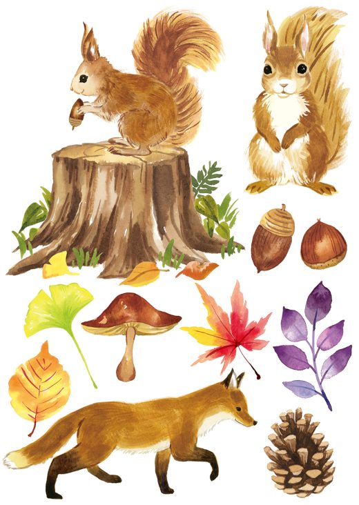 リス、キツネ、落ち葉、水彩の森の動物たち