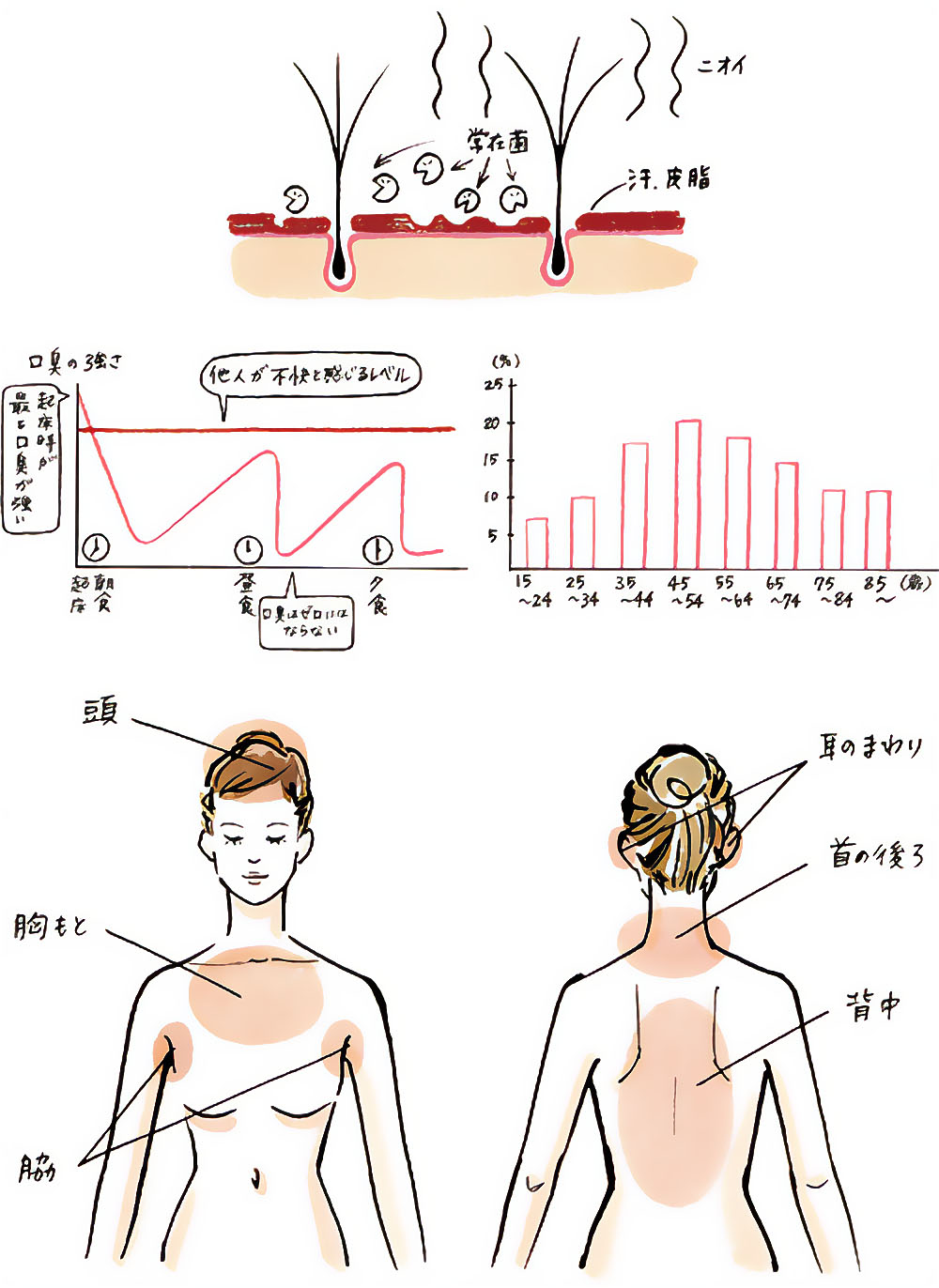 体臭の原因と発生場所を示す図、汗や皮脂、細菌、口臭のグラフ、体臭が発生しやすい体の部位のイラスト