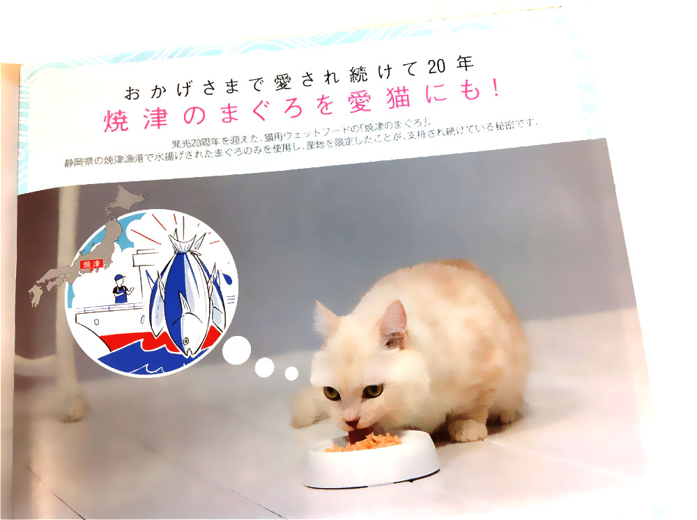 まぐろを使ったキャットフードを食べる猫の写真。