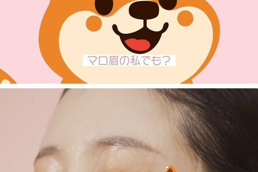 柴犬キャラと水に濡れた女性の眉