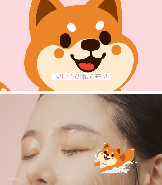 柴犬キャラと水に濡れた女性の眉