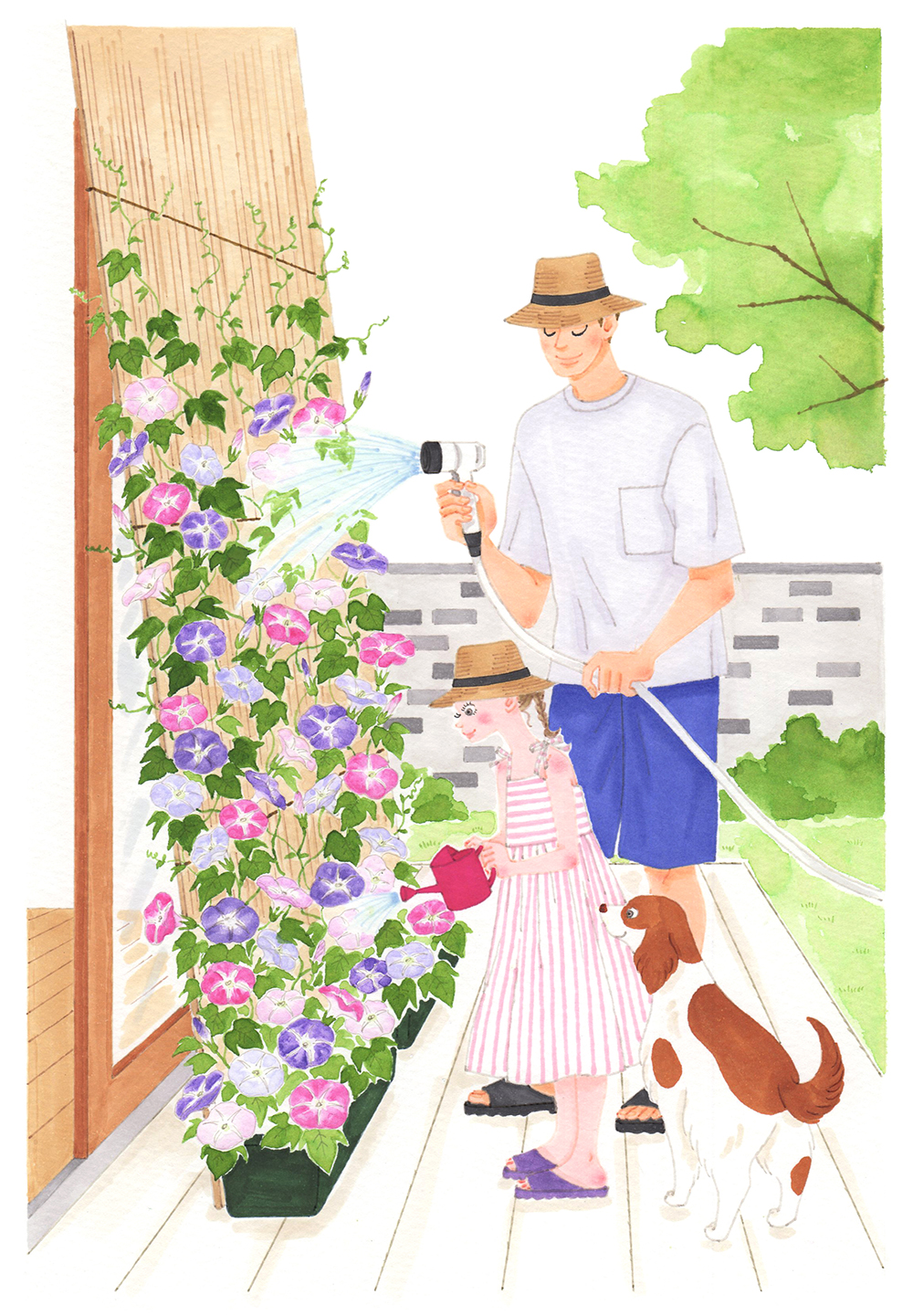 親子と犬が朝顔に水やりしているイラスト