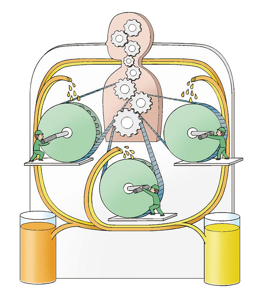 ビタミンとミネラルが体内の歯車を潤滑する様子を示すイラスト