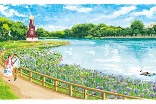 湖,風車,散歩,カップル,菖蒲イラスト