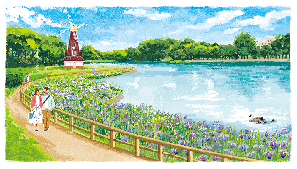湖,風車,散歩,カップル,菖蒲イラスト