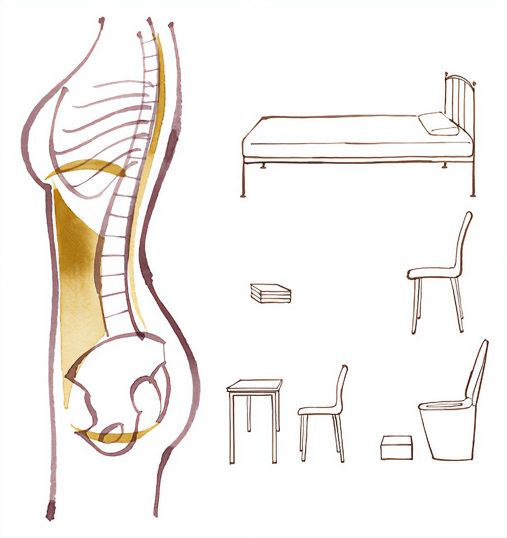 正しい姿勢の体の中が見えているイラスト