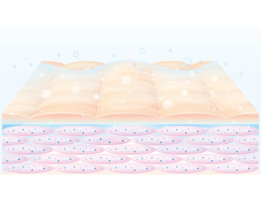潤いに満ちた肌の断面図と角質層のバリア機能の図解
