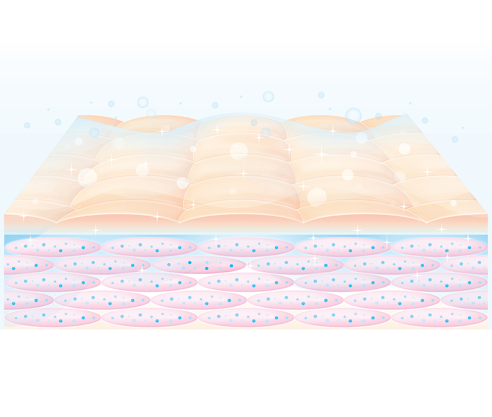 潤いに満ちた肌の断面図と角質層のバリア機能の図解