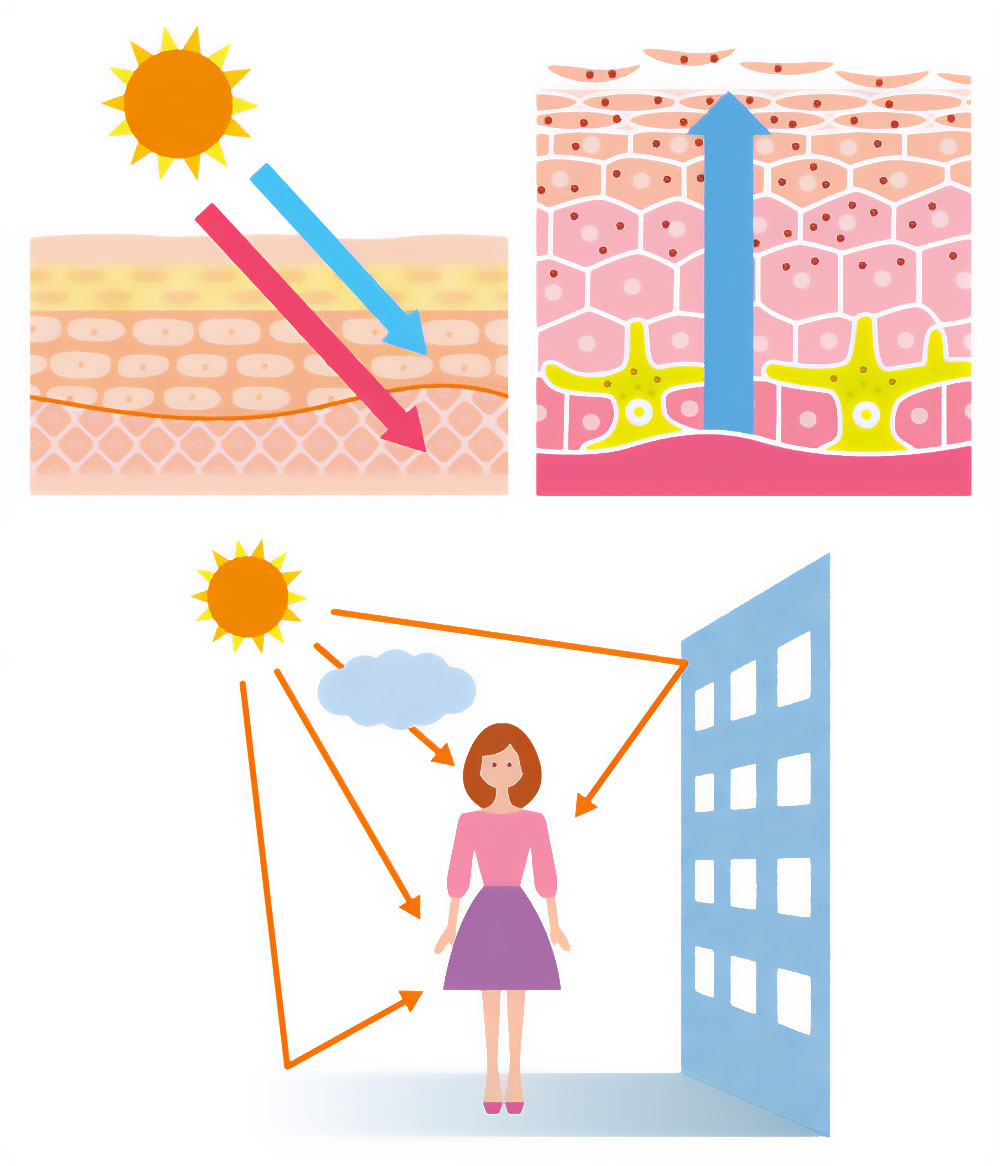 日光が皮膚に与える影響と紫外線対策のイラスト