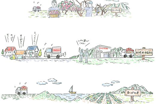トマトの収穫から配送までを描いた流通の流れイラスト
