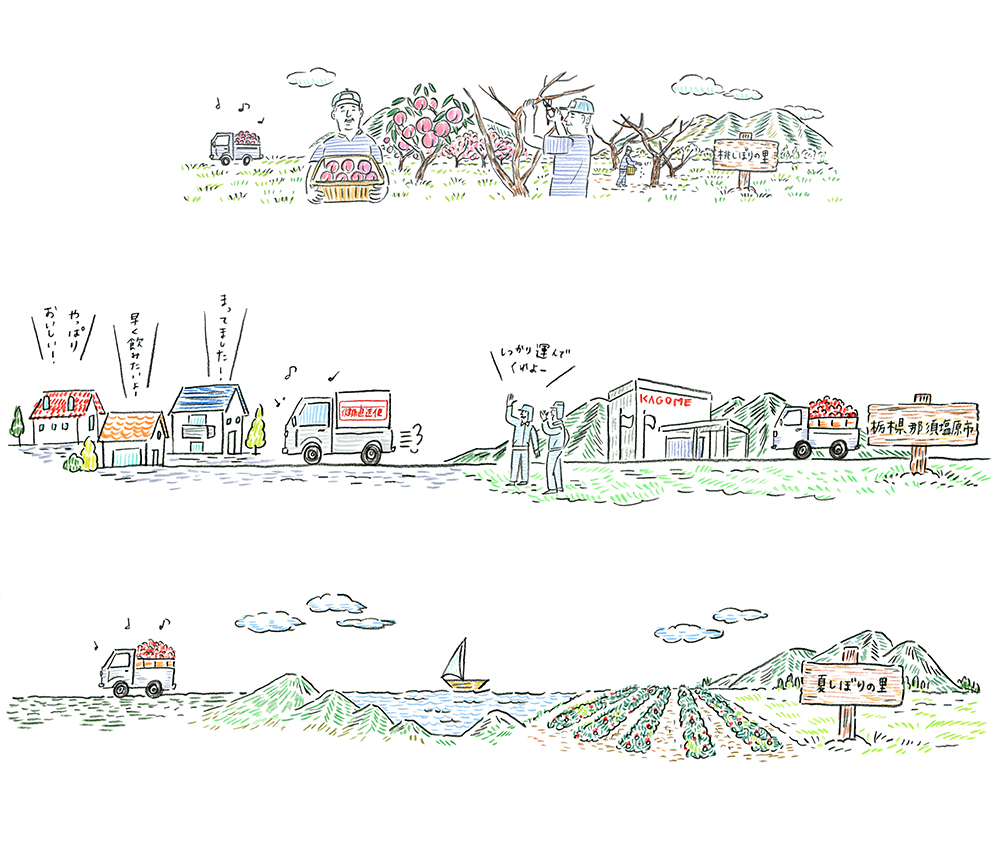 トマトの収穫から配送までを描いた流通の流れイラスト