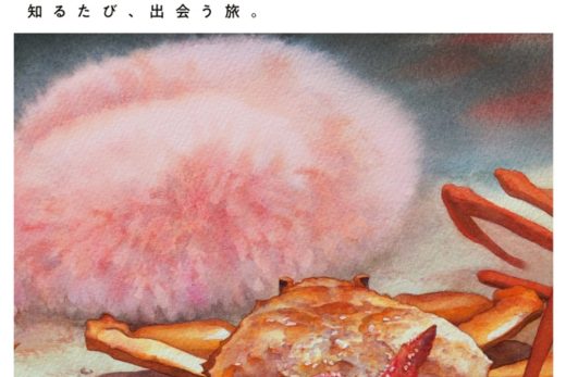 トランヴェール2026年1月号表紙, 北陸特集, 水彩画のカニとヒトデ, JR東日本車内誌, 旅の雑誌