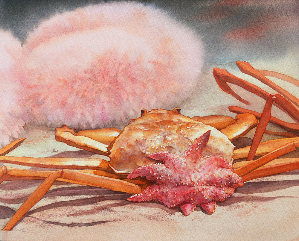 水彩画, カニ, ヒトデ, 海産物, 冬の味覚, 淡いピンクの背景, リアルな質感